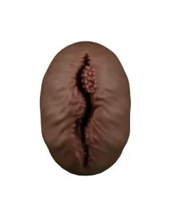 Lovetoy - Stroker Masturbator Alien's Pie 1 - Donkere Huidskleur -Cock & Ball Toys Lovetoy Stroker Masturbator ALIENS PIE 1 donkere huidskleur 4