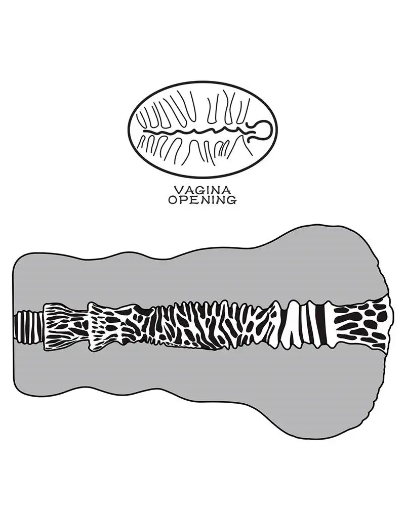 Lovetoy - Stroker Masturbator Alien's Pie 2 - Donkere Huidskleur 12 Lovetoy - Stroker Masturbator Alien's Pie 2 - Donkere Huidskleur - Afbeelding 10