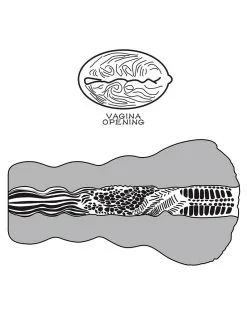 Lovetoy - Stroker Masturbator Alien's Pie 3 - Donkere Huidskleur 21 Lovetoy - Stroker Masturbator Alien's Pie 3 - Donkere Huidskleur -Cock & Ball Toys Lovetoy Stroker Masturbator ALIENS PIE 3 donkere huidskleur 10